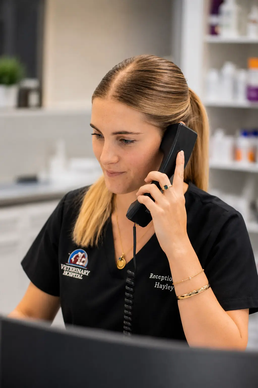 bundaberg mobile vets for at home appointments or euthanasia