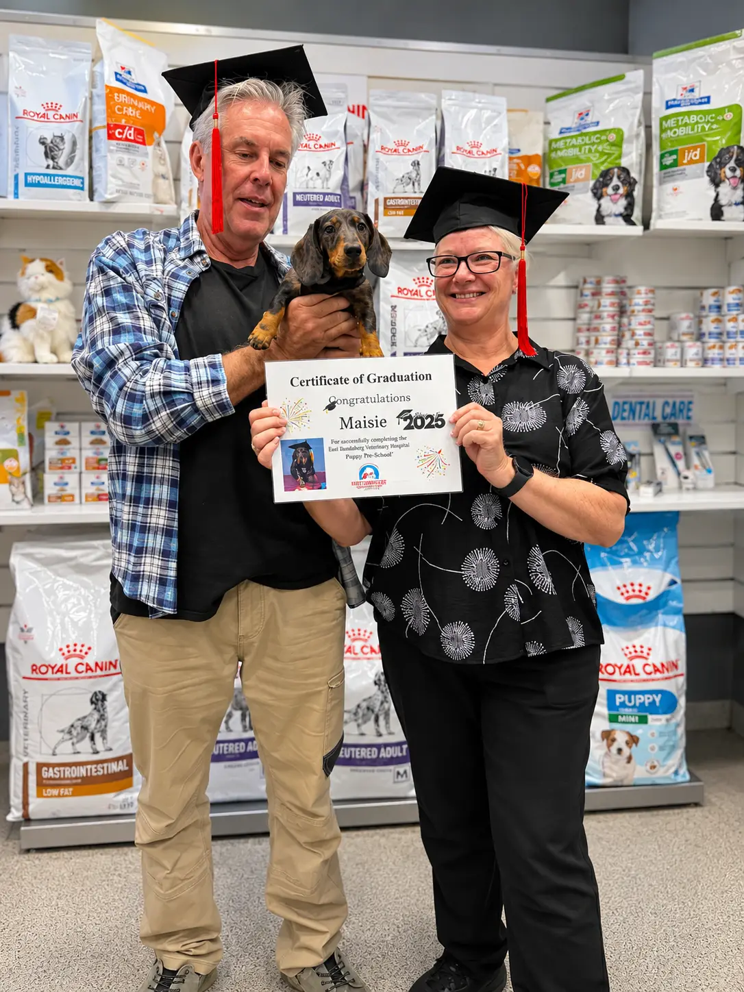 puppy pre school bundaberg workshop