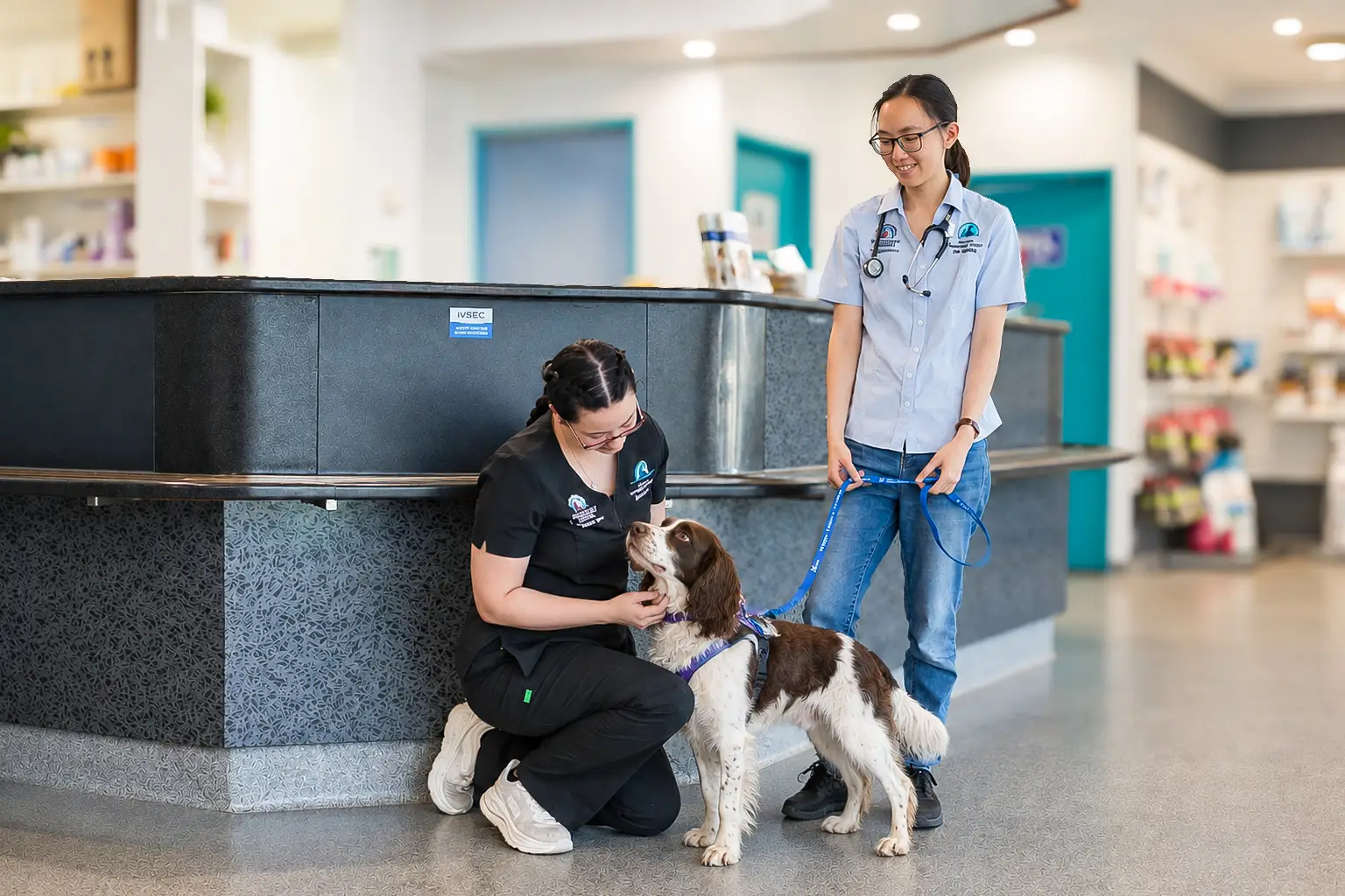 Front reception bundaberg east vet