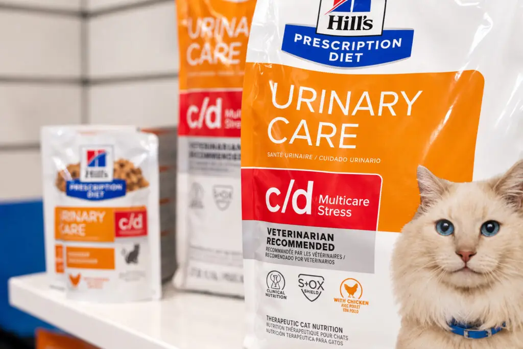 feline urinary care food in bundaberg