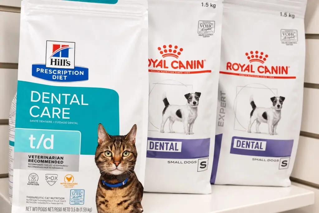 cat prescription food bundaberg for healthy cats