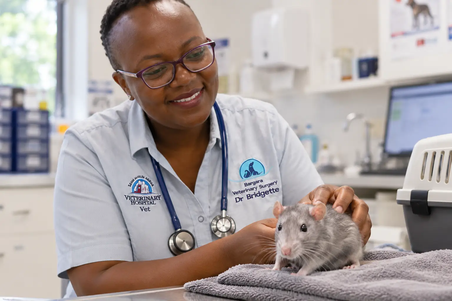 Caring Veterinary Rat Examination